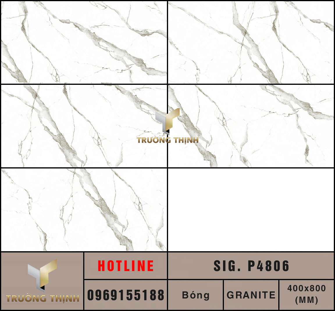 Ảnh MAP gạch ốp tường 400x800 Eurotile Chiêu Phong SIG.P4806