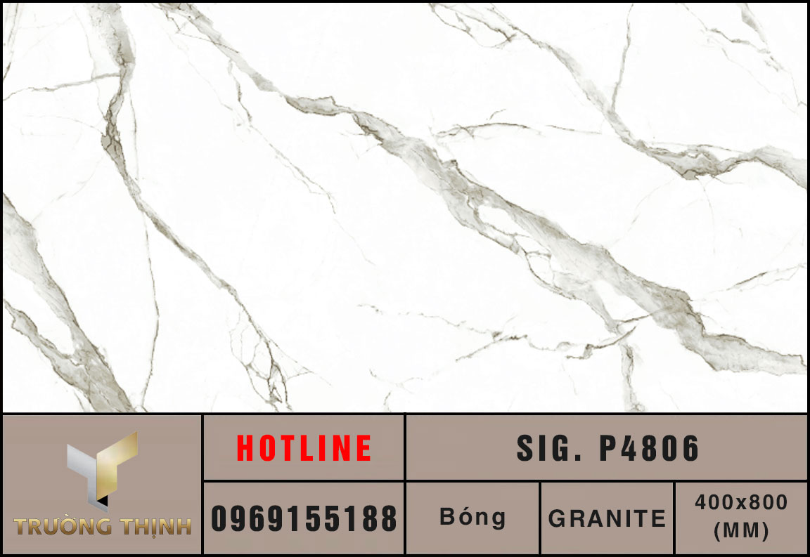 Gạch ốp lát 400x800 Eurotile Chiêu Phong SIG.P4806 vân đá