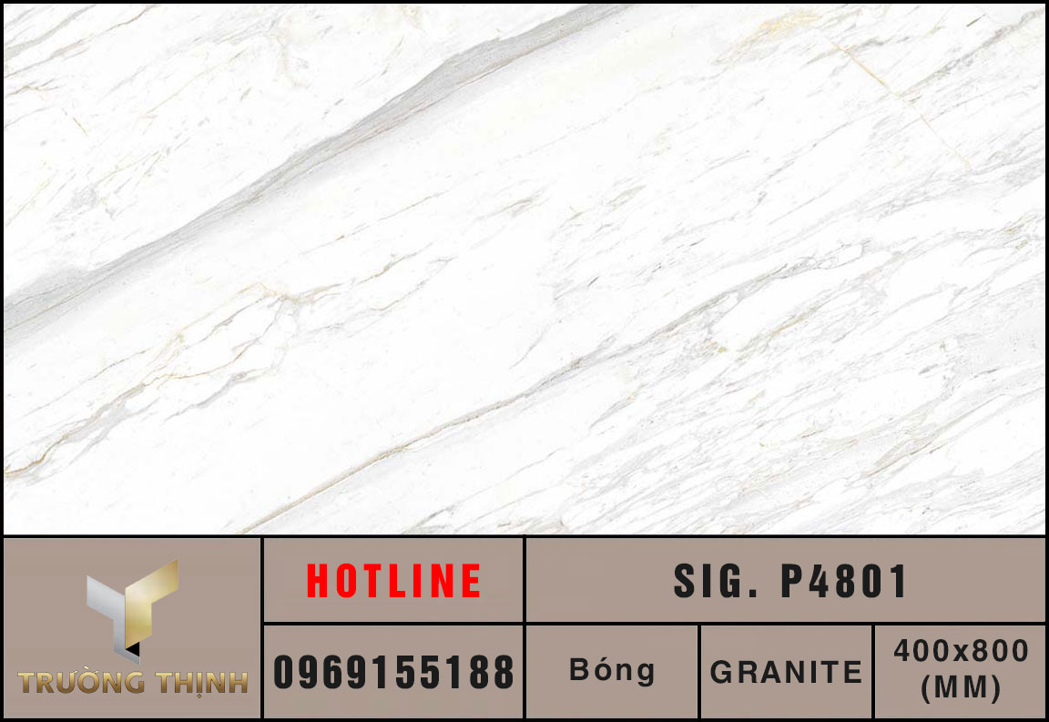 Ảnh MAP gạch ốp tường 400x800 Eurotile Hải Phong SIG. P4801