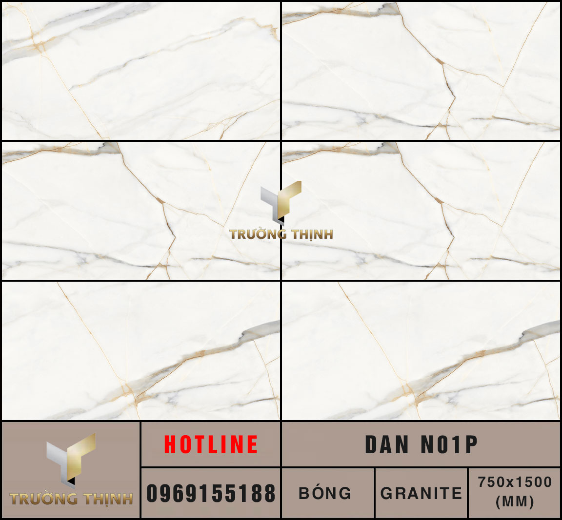 Gạch tấm lớn 750x1500 Eurotile Đăng Nguyên DAN N01P