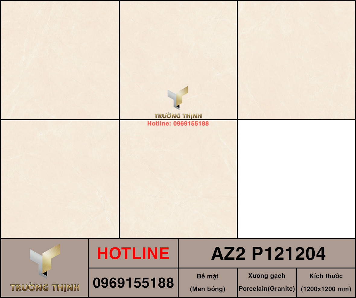 AZ2-P121204