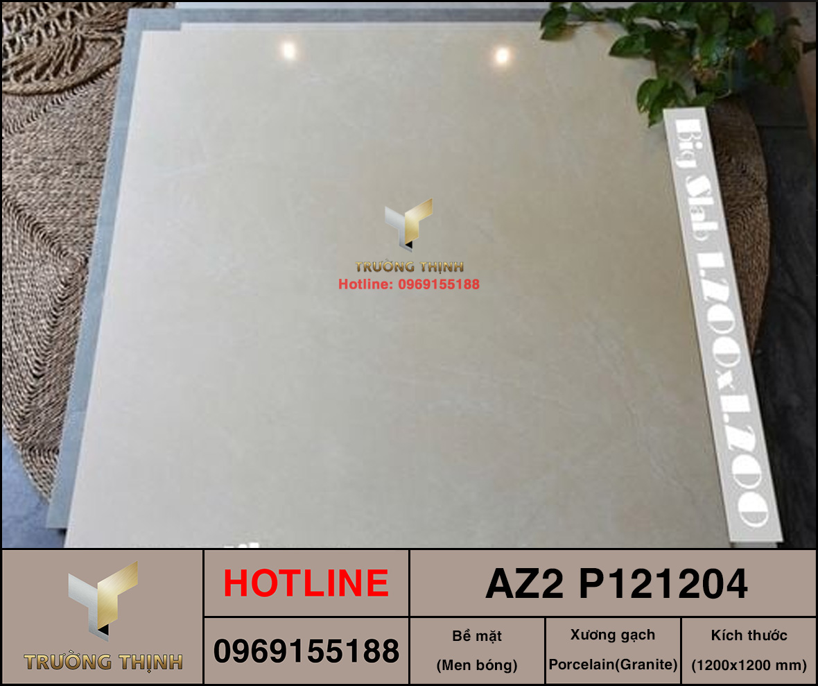 AZ2-P121204