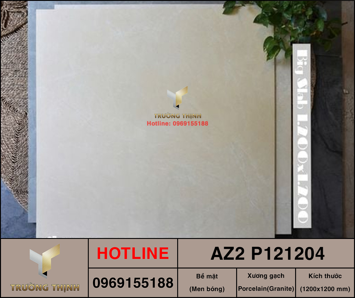 AZ2-P121204