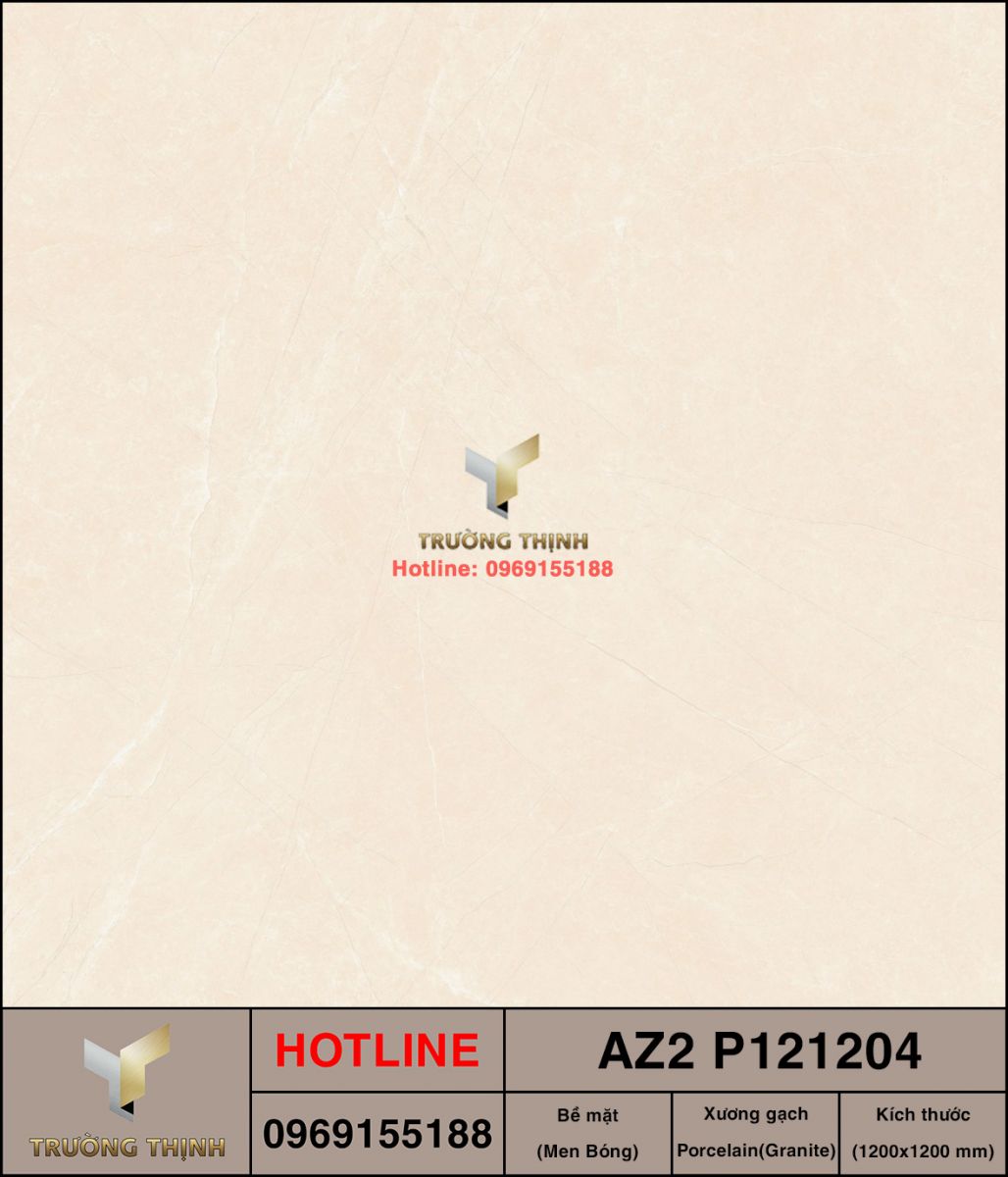 AZ2-P121204