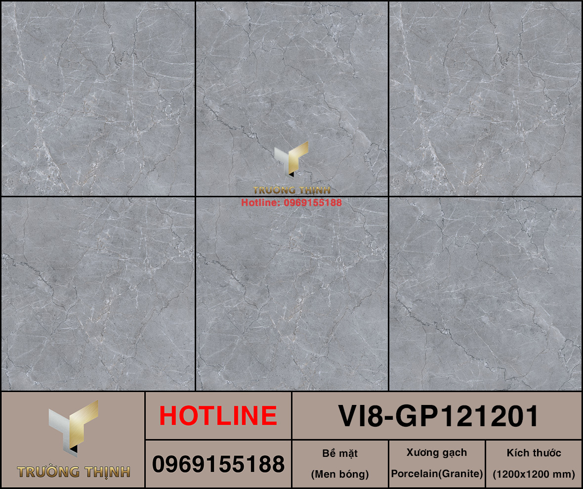 VI8-GP121201