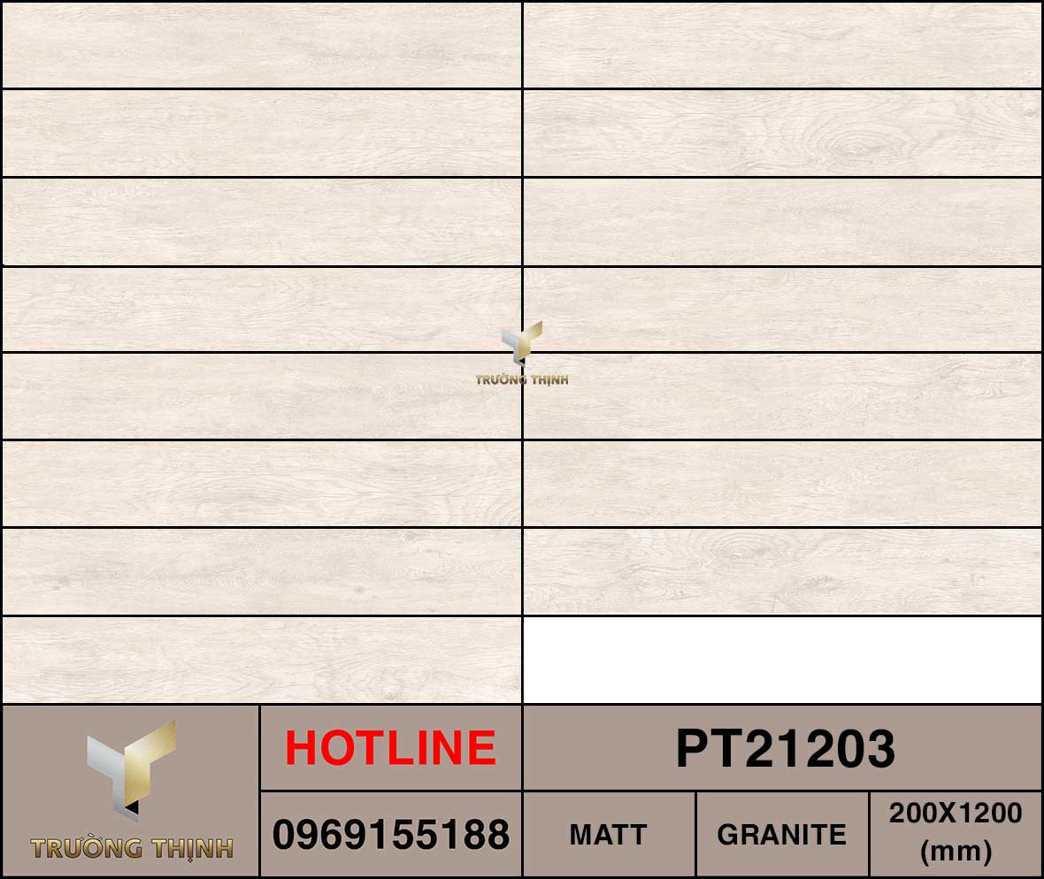 Ảnh MAP gạch ốp lát 200x1200 Viglacera PT21203