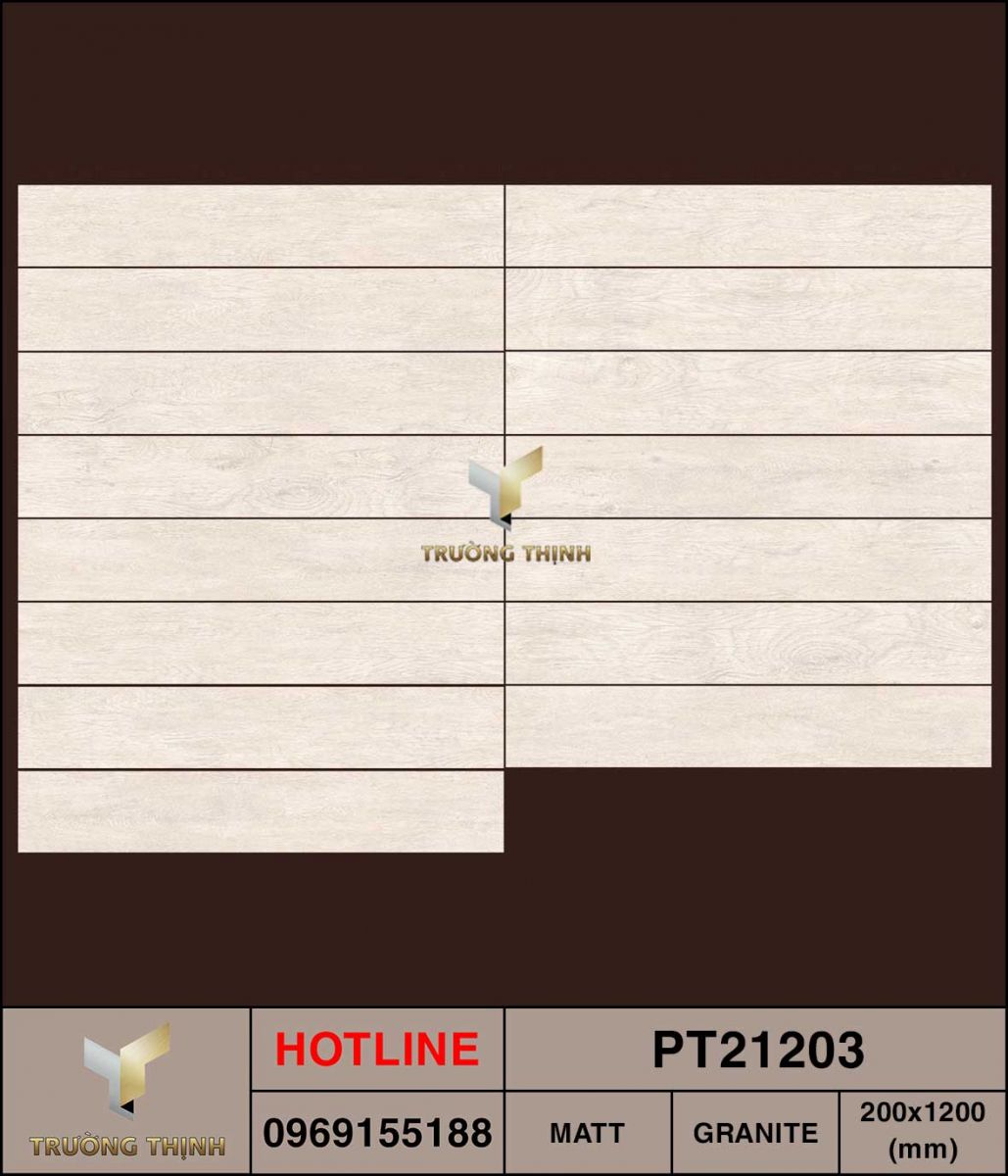 Ảnh MAP gạch ốp lát 200x1200 Viglacera PT21203