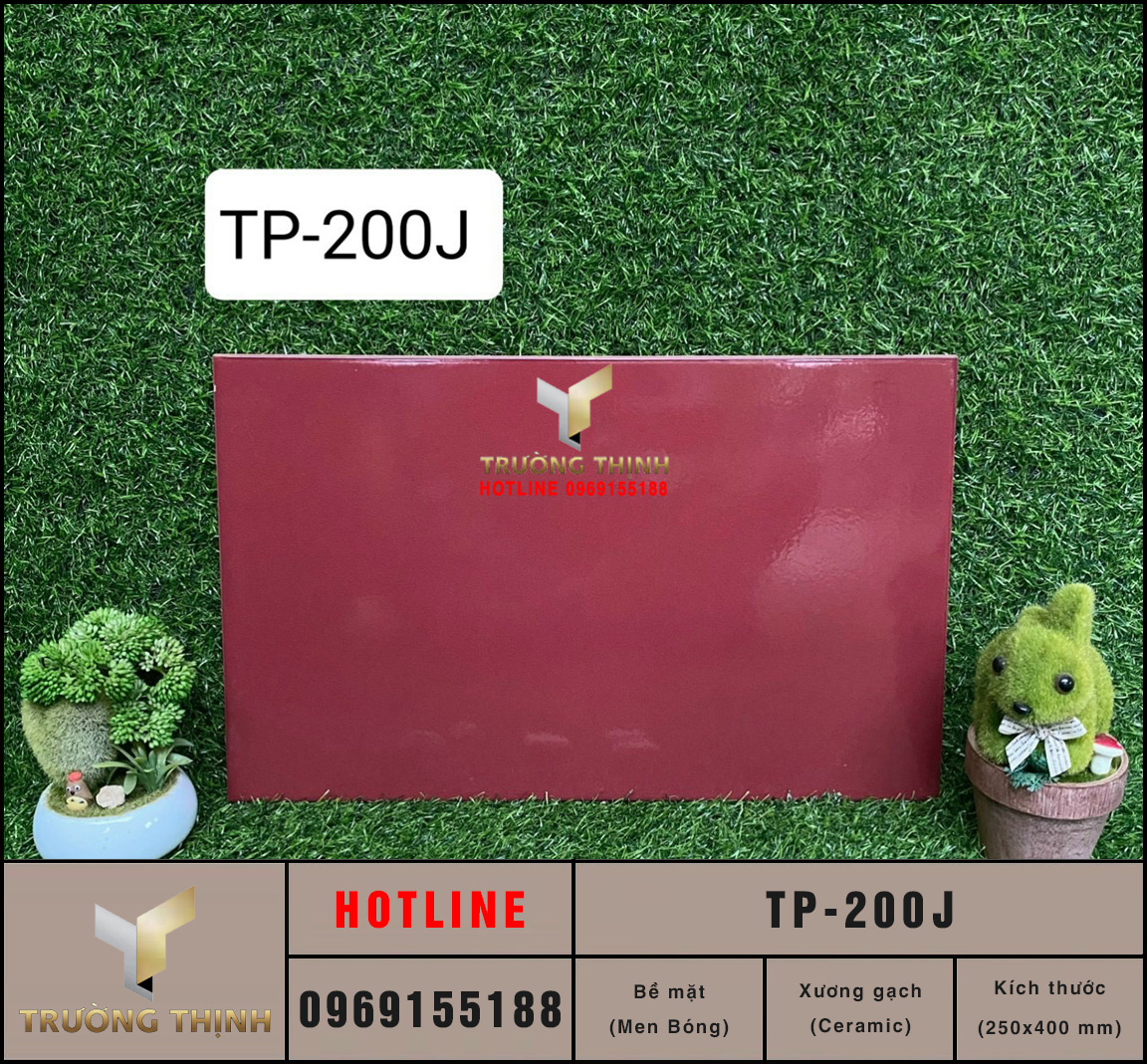 Gạch ốp tường Ceramic đơn màu 250x400 Viglacera TP-200J