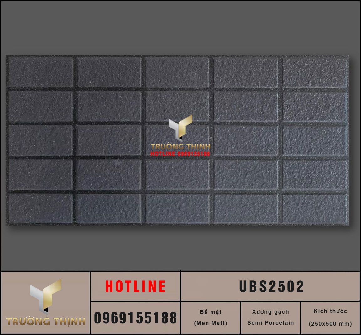Gạch ốp lát giả cổ 250x500 Viglacera United UBS2502 | Giá tốt nhất