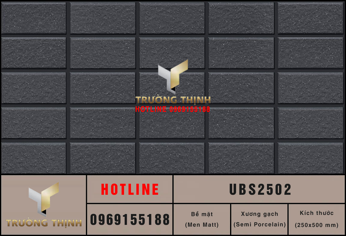 Gạch ốp lát giả cổ 250x500 Viglacera United UBS2502 – Sự lựa chọn hoàn hảo cho không gian hiện đại