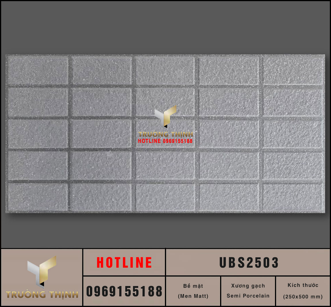 Gạch thẻ ốp tường 250x500 màu ghi sáng Viglacera United UBS2503 Giá Tốt