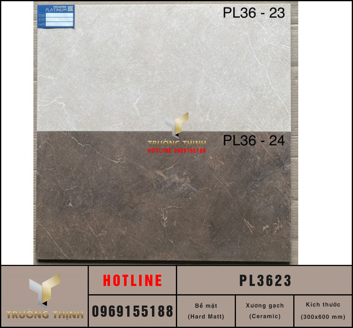 PL3623