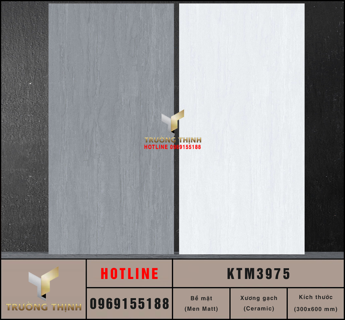Gạch ốp lát 300x600 Viglacera KTM3975