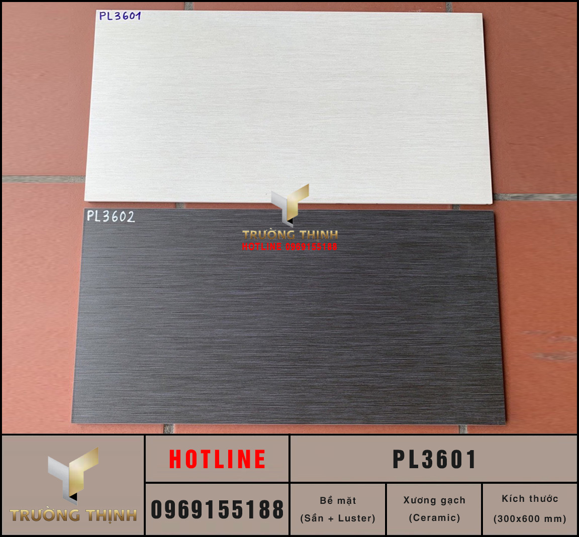 Gạch Ceramic men Matt Luster 300x600 Viglacera Platinum PL3601 chính hãng | Trường Thịnh