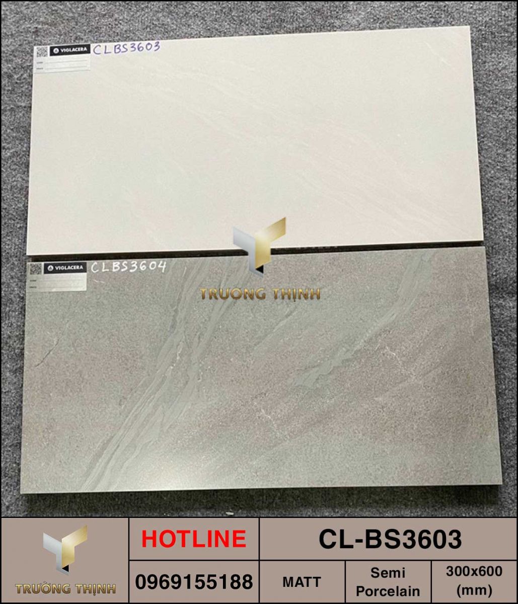 Ảnh thực tế gạch ốp lát 300x600 Viglacera Cửu Long CL-BS3603