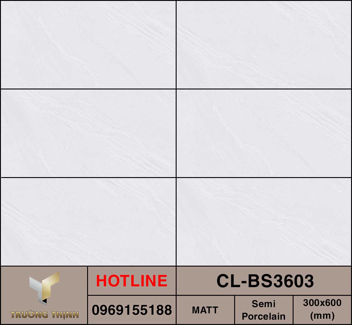 Ảnh MAP gạch ốp lát 300x600 Viglacera Cửu Long CL-BS3603