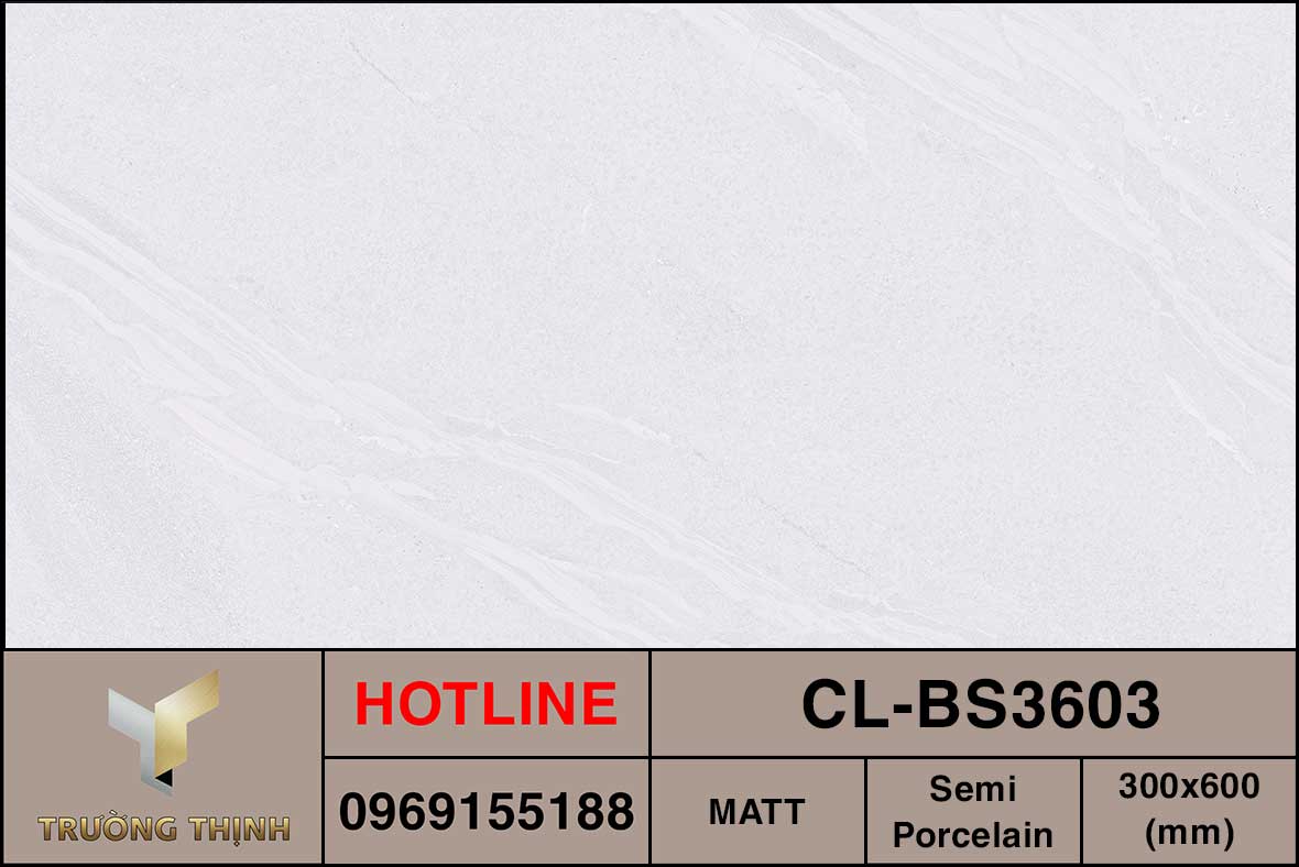 Ảnh MAP gạch ốp lát 300x600 Viglacera Cửu Long CL-BS3603