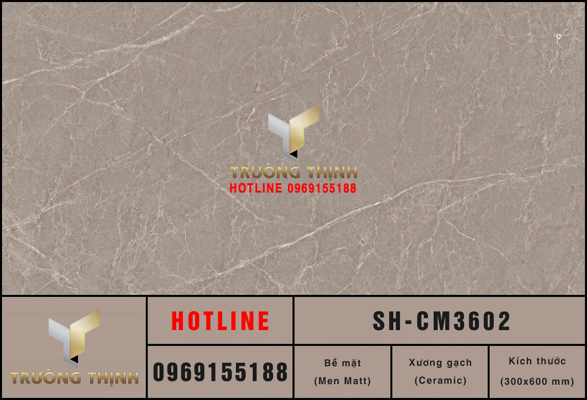 Gạch ốp tường 300x600 Viglacera Sông Hồng SH-CM3602