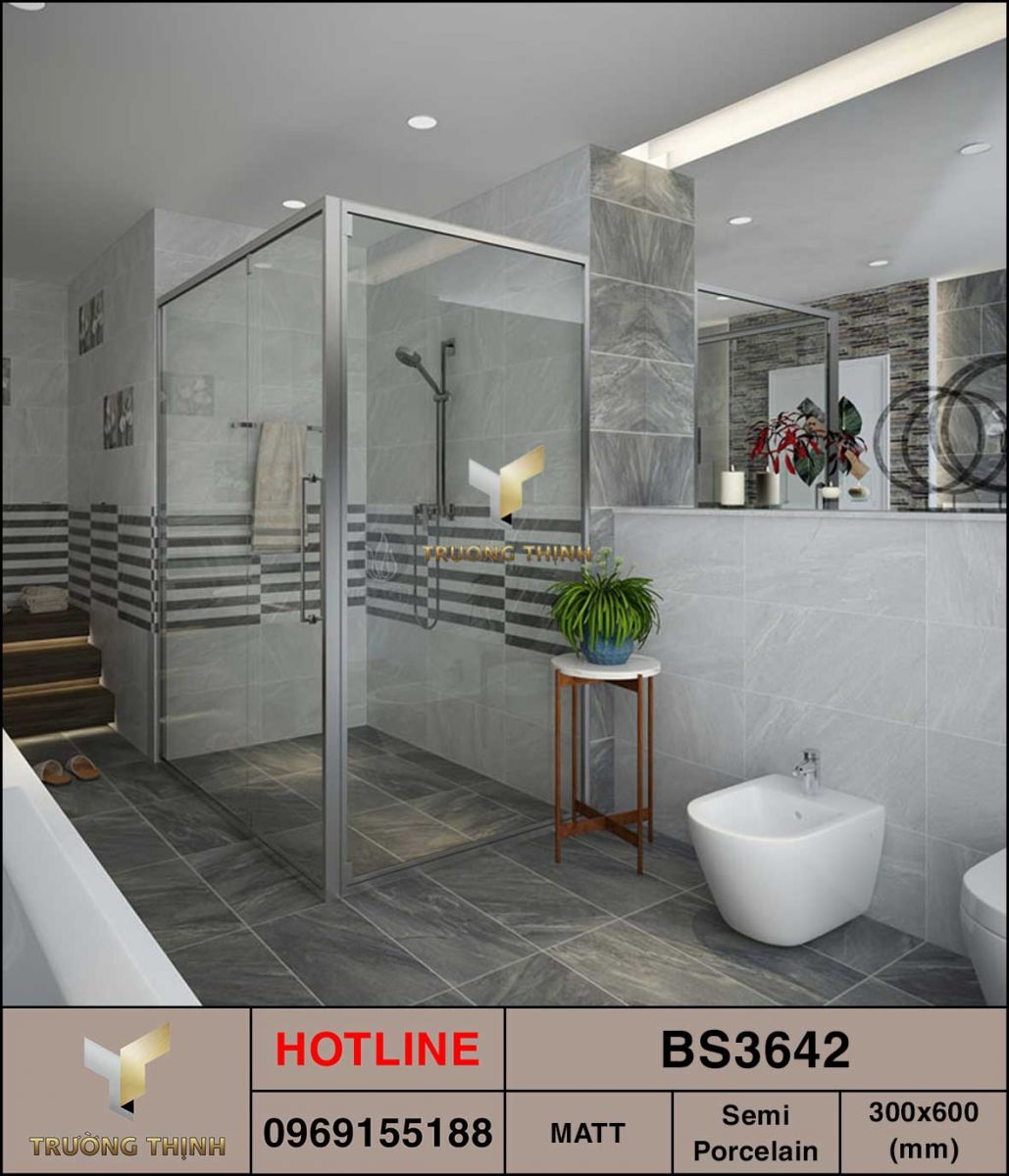 Ảnh mẫu gạch ốp lát 300x600 Viglacera BS3642