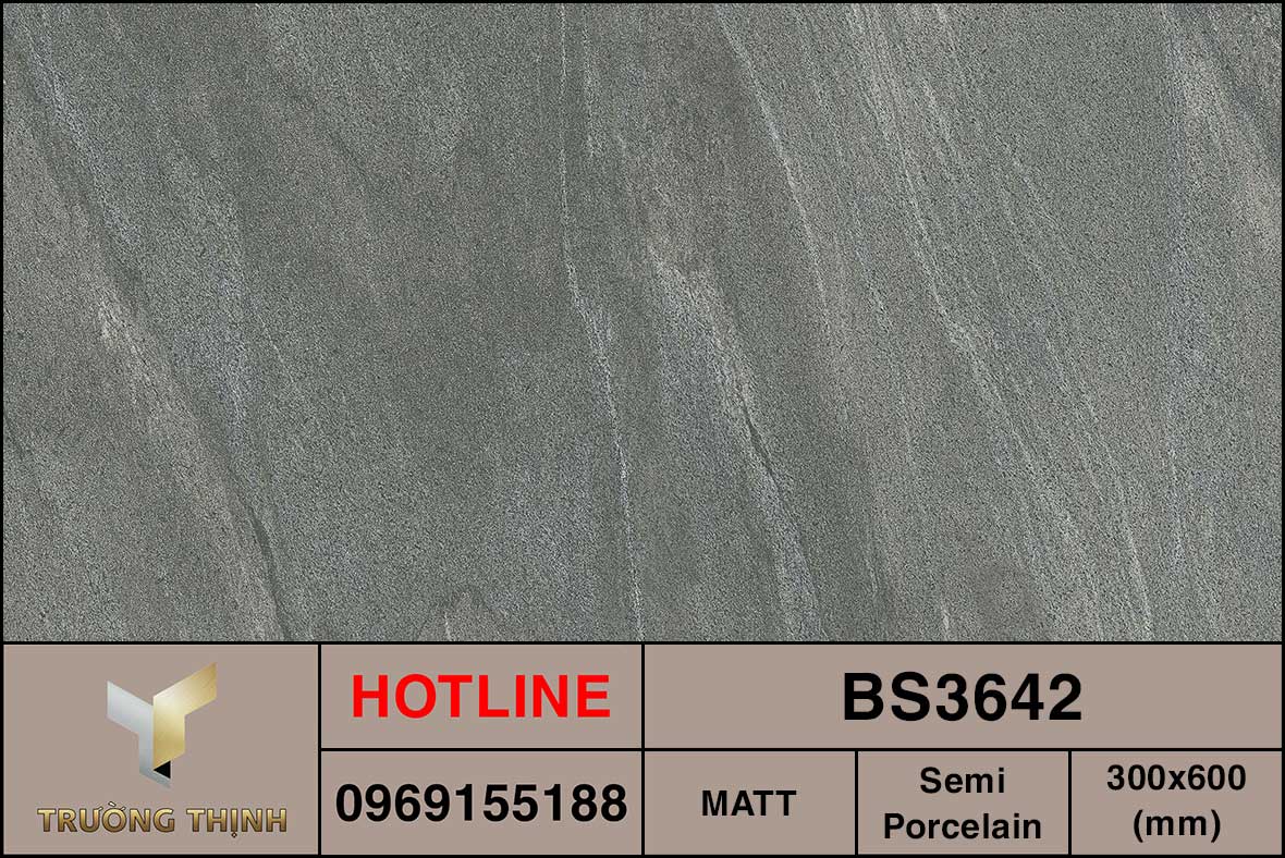 Ảnh MAP gạch ốp lát 300x600 Viglacera BS3642