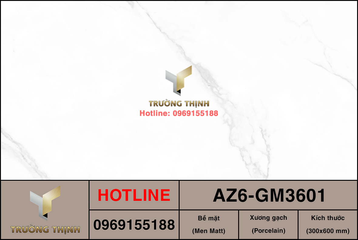 Gạch ốp lát 300x600 Viglacera United Arizona AZ6-GM3601