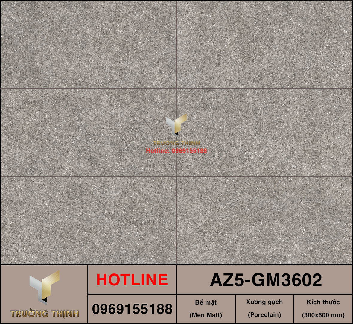 Gạch ốp lát 300x600 Viglacera United Arizona AZ5-GM3602