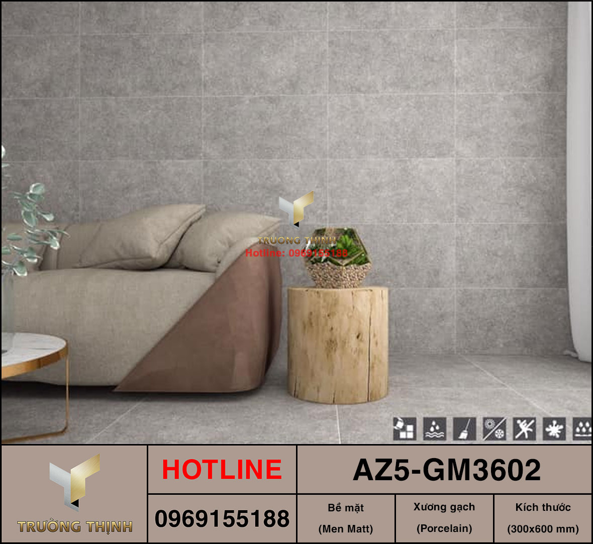 Gạch Viglacera AZ5-GM3602