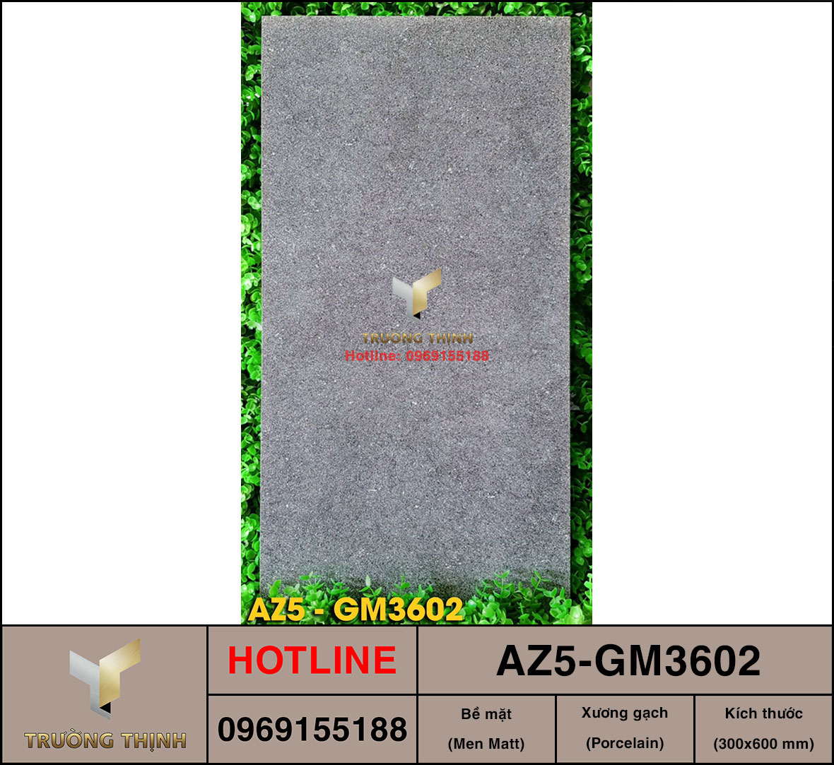 Gạch ốp lát 300x600 Viglacera United Arizona AZ5-GM3602