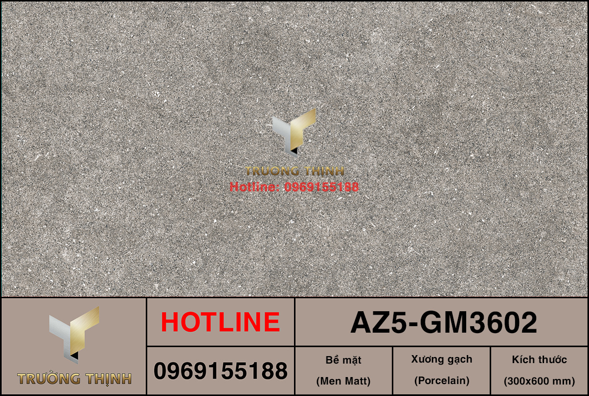 Gạch ốp lát 300x600 Viglacera United Arizona AZ5-GM3602