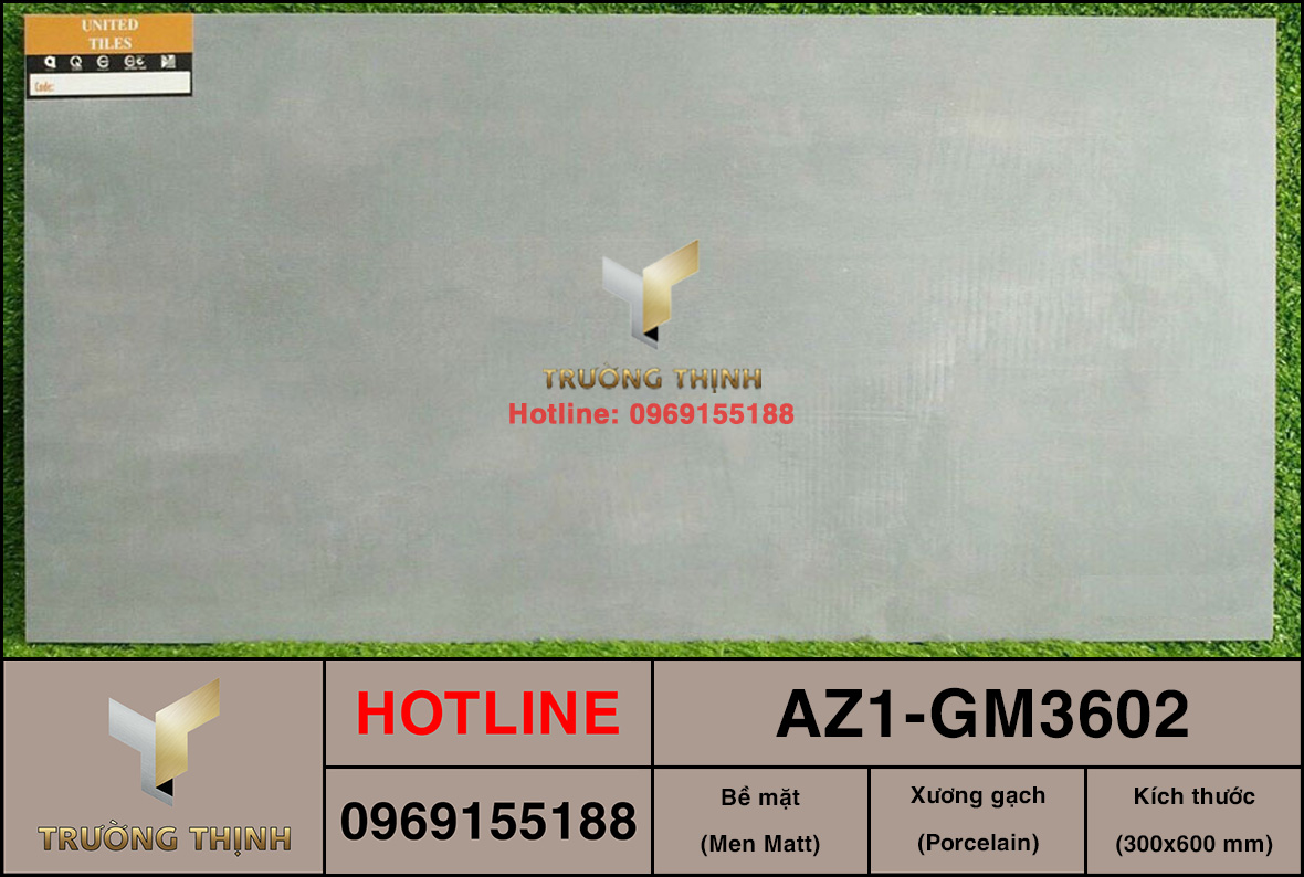 Gạch ốp lát 300x600 Viglacera United Arizona AZ1-GM3602