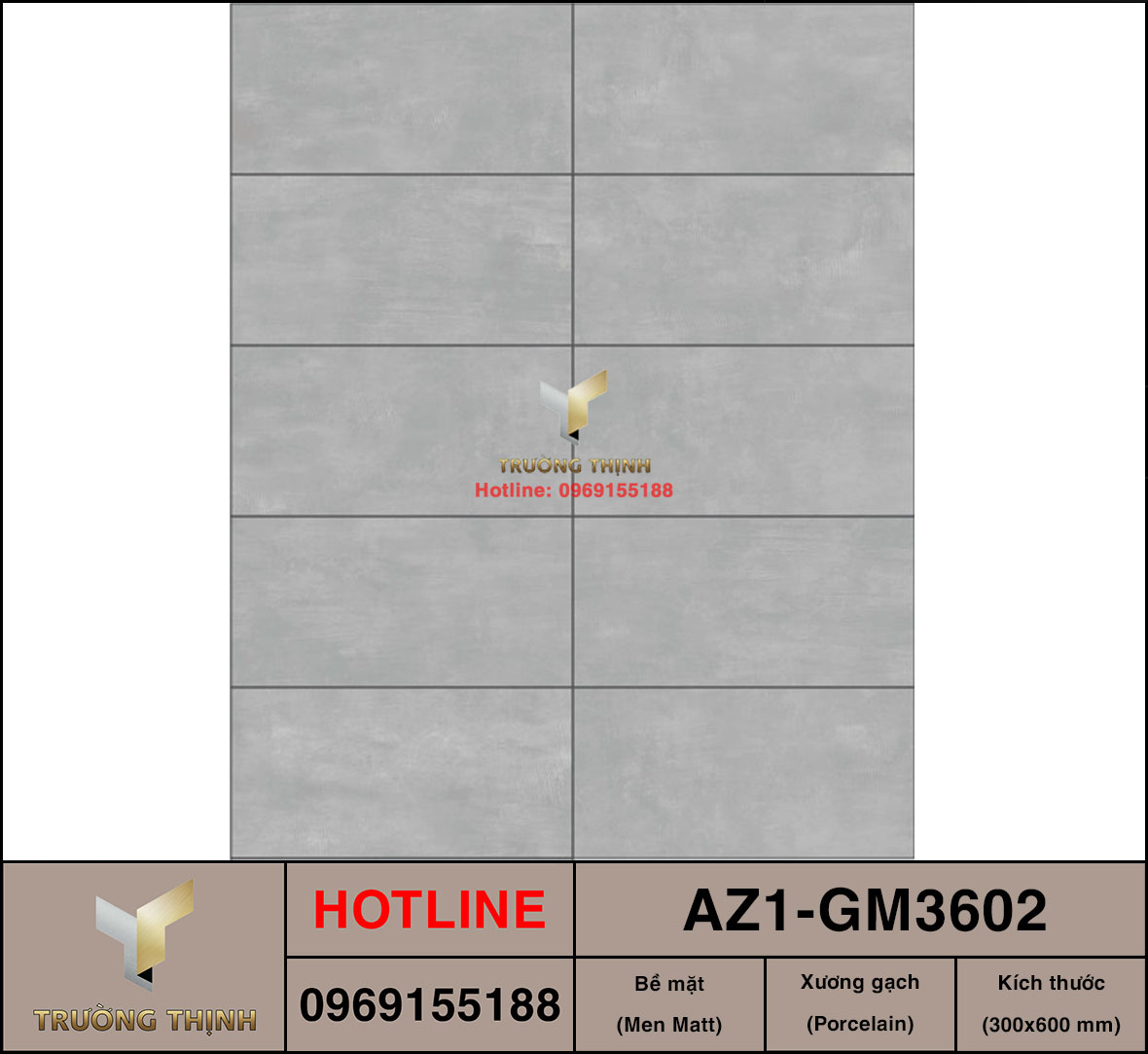 Gạch ốp lát 300x600 Viglacera United Arizona AZ1-GM3602
