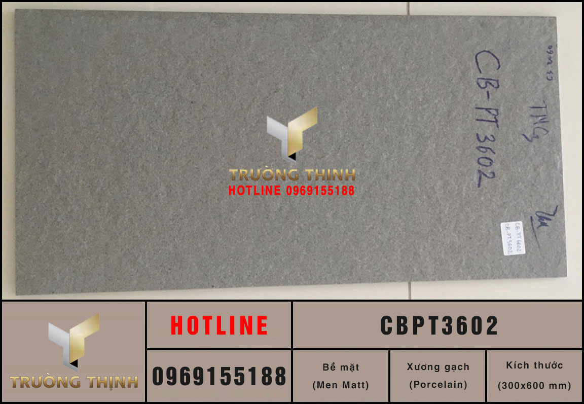 Gạch lát nền Porcelain 300x600 Viglacera Platinum CBPT3602
