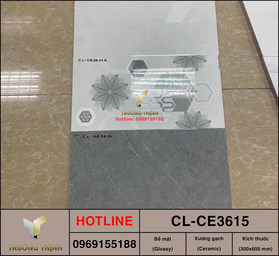 Gạch men bóng 300x600 Viglacera Cửu Long CL-CE3615 vân đá