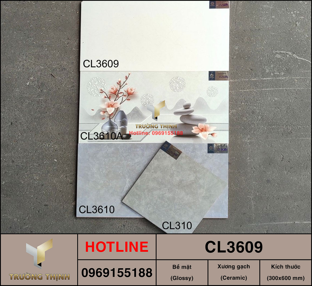 Gạch ốp tường 300x600 Viglacera Cửu Long CL3609 giá tốt