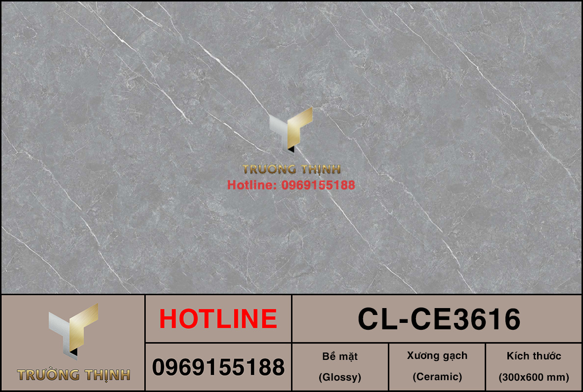 Gạch ốp lát 300x600 Viglacera Cửu Long CL-CE3616
