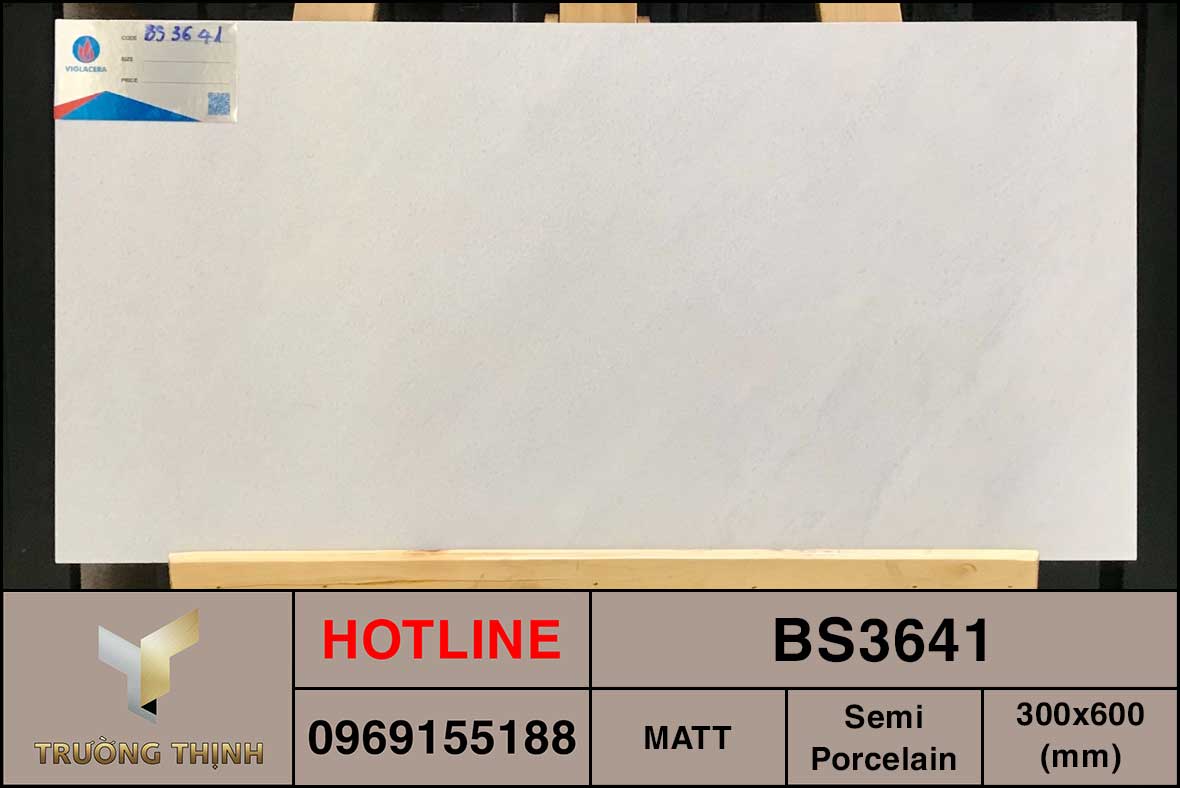 Gạch men khô 300x600 Viglacera BS3641 vân đá