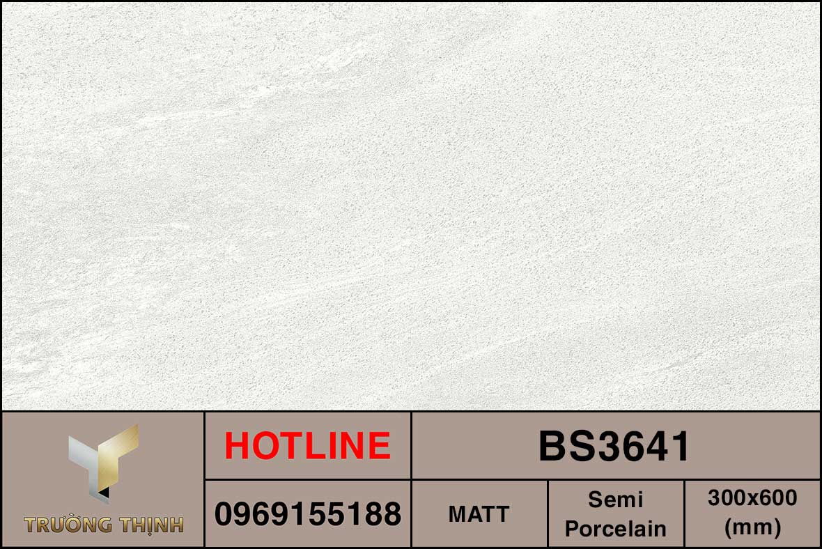 Ảnh MAP gạch ốp lát 300x600 Viglacera BS3641