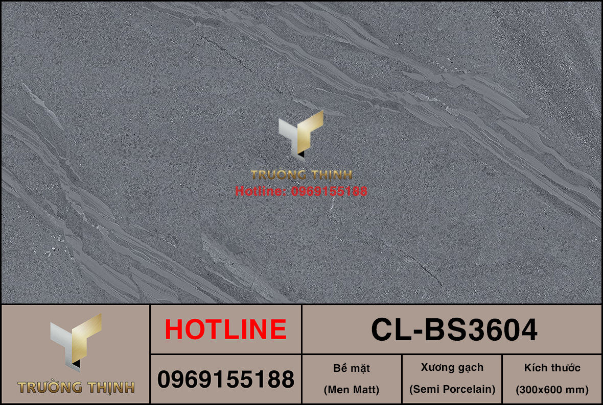 Gạch ốp lát 300x600 Viglacera Cửu Long CL-BS3604