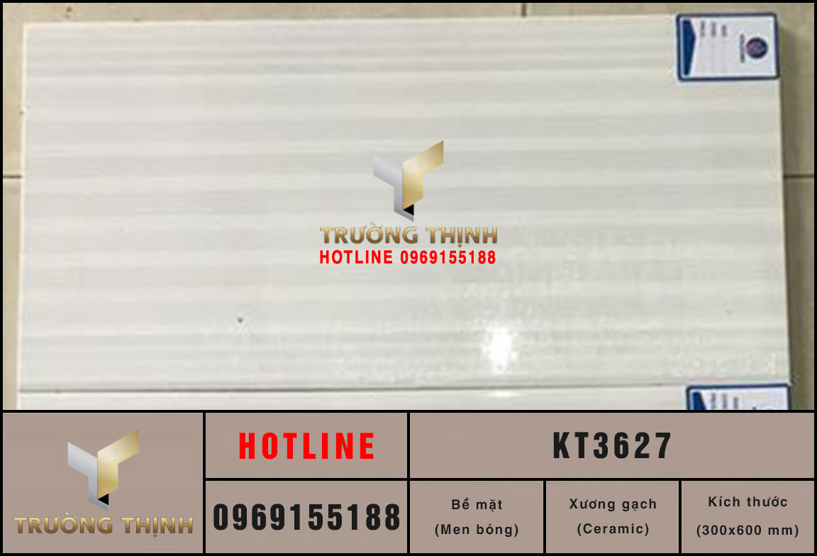 Gạch ốp tường trang trí 300x600 Viglacera KT3627 cao cấp