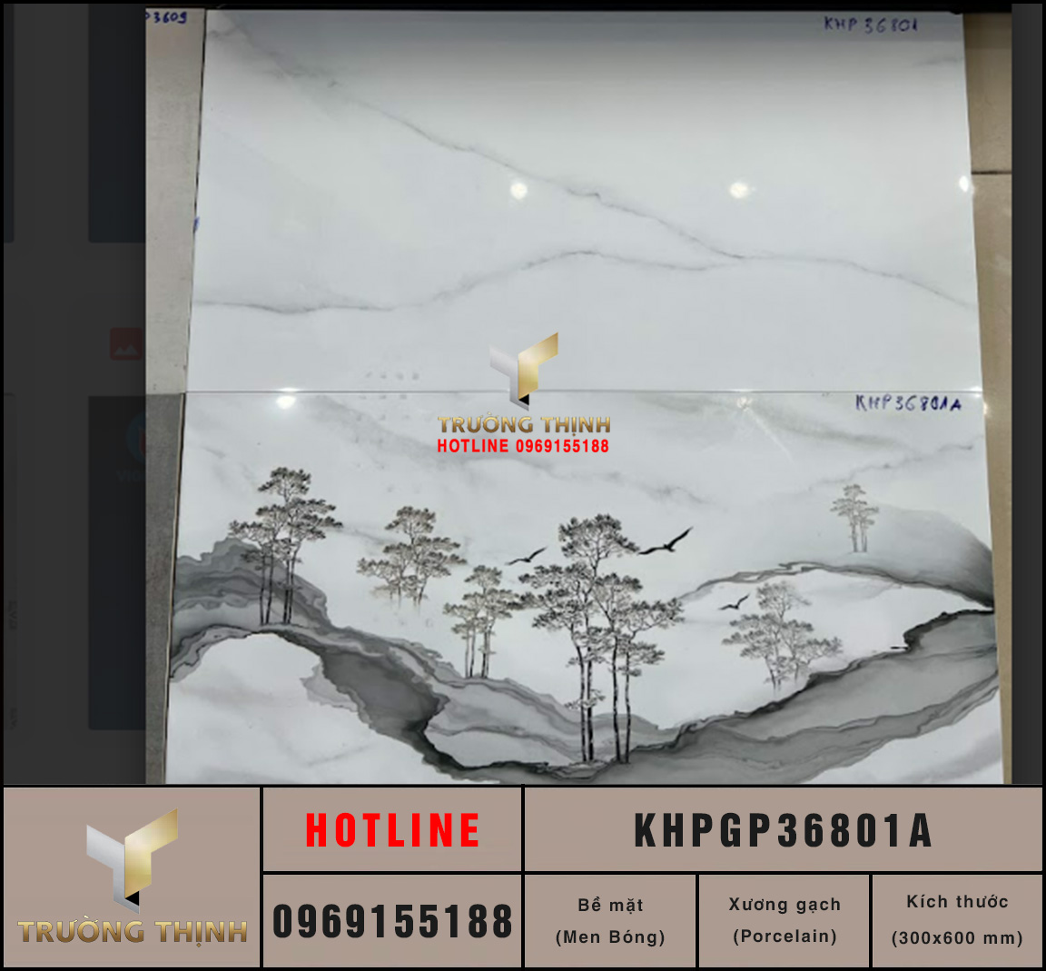 Gạch ốp tường điểm trang trí 300x600 Viglacera KHPGP36801A cao cấp