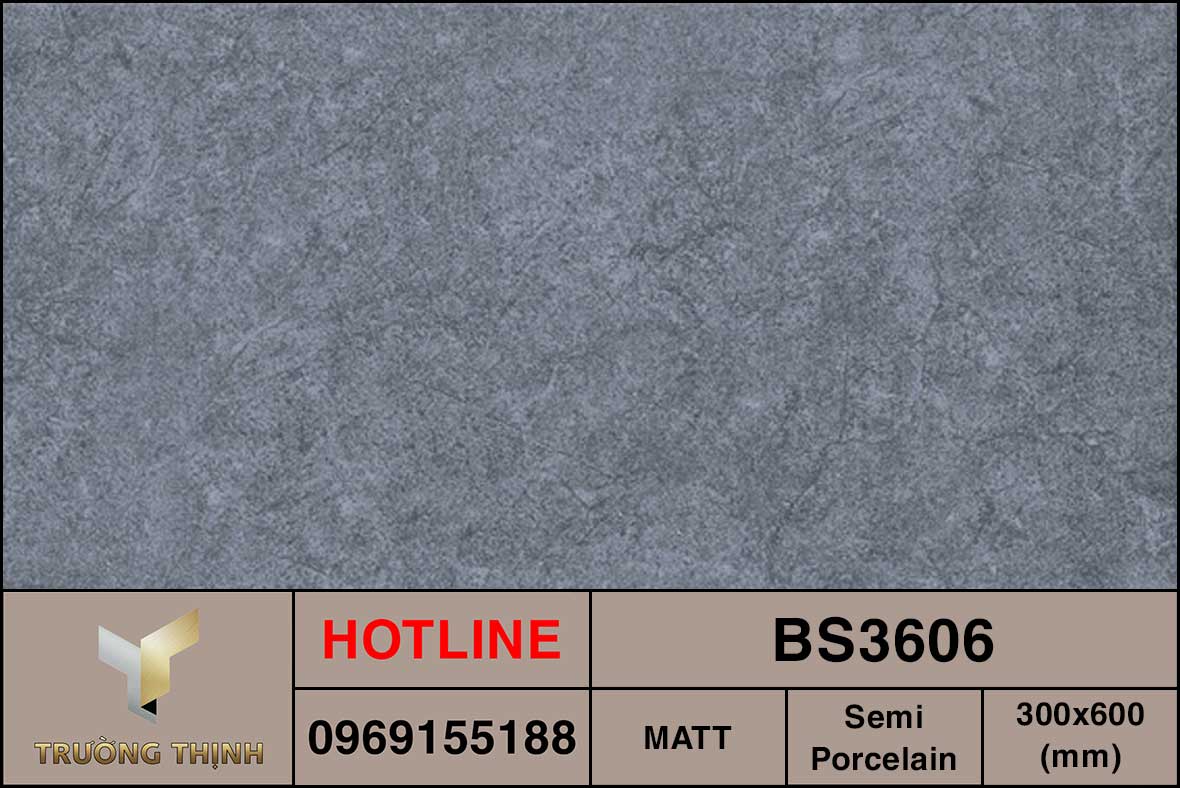 Ảnh MAP gạch ốp lát 300x600 Viglacera BS3606