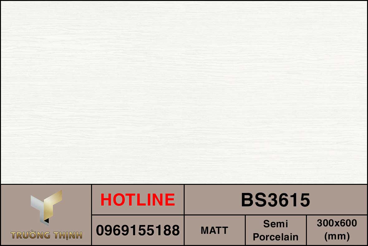 Ảnh MAP gạch ốp lát 300x600 Viglacera BS3615