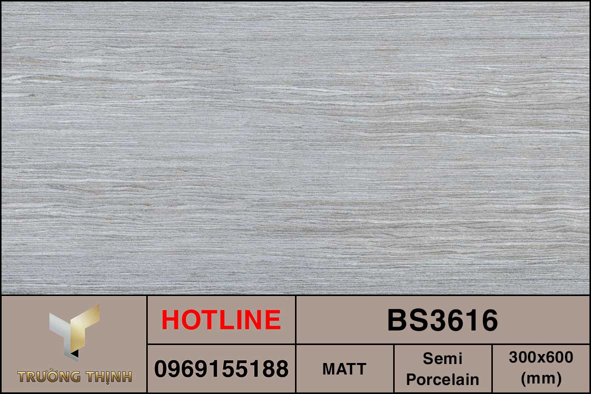 Ảnh MAP gạch ốp lát 300x600 Viglacera BS3616