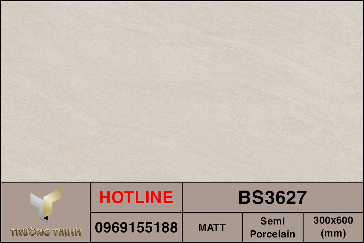 Ảnh MAP gạch ốp lát 300x600 Viglacera BS3627