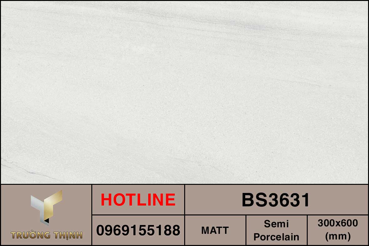 Ảnh MAP gạch ốp lát 300x600 Viglacera BS3631
