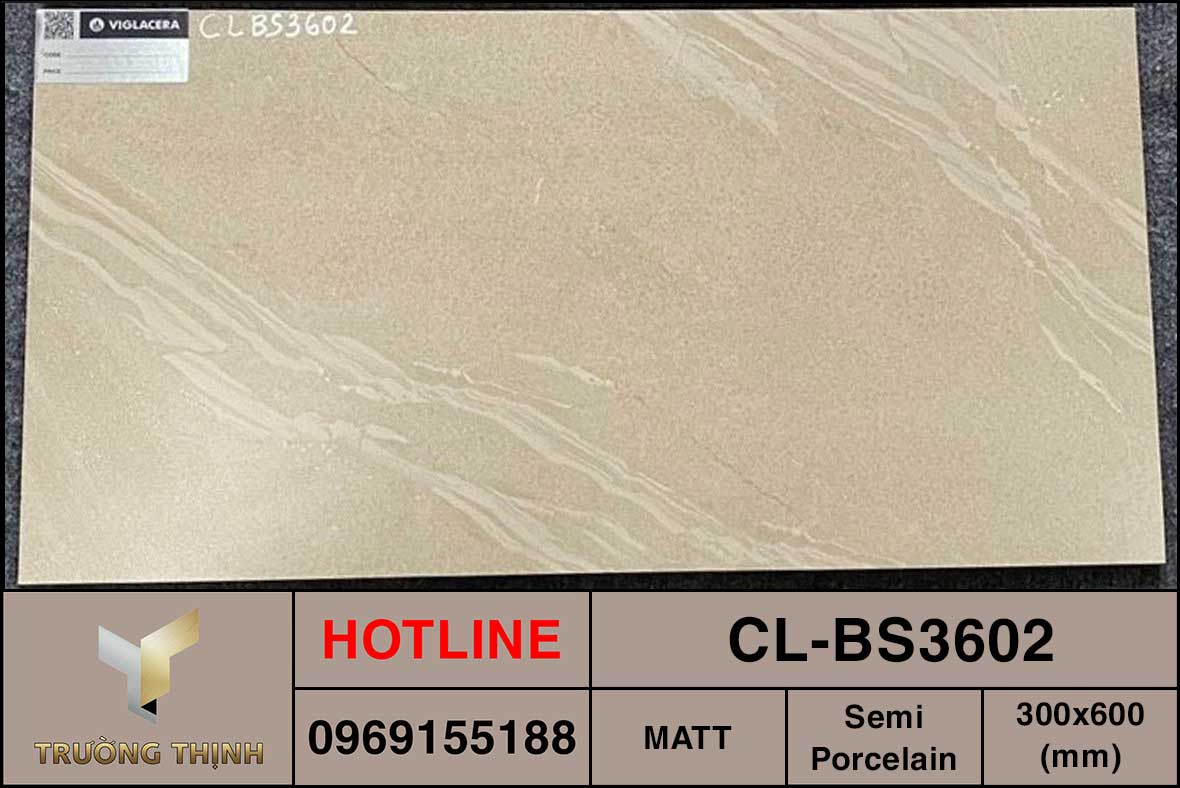 Gạch ốp lát 300x600 Viglacera Cửu Long CL-BS3602 giá rẻ