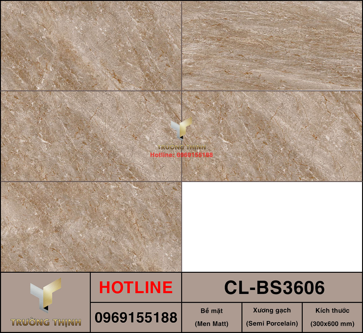 Gạch 300x600 Viglacera Cửu Long CL-BS3606