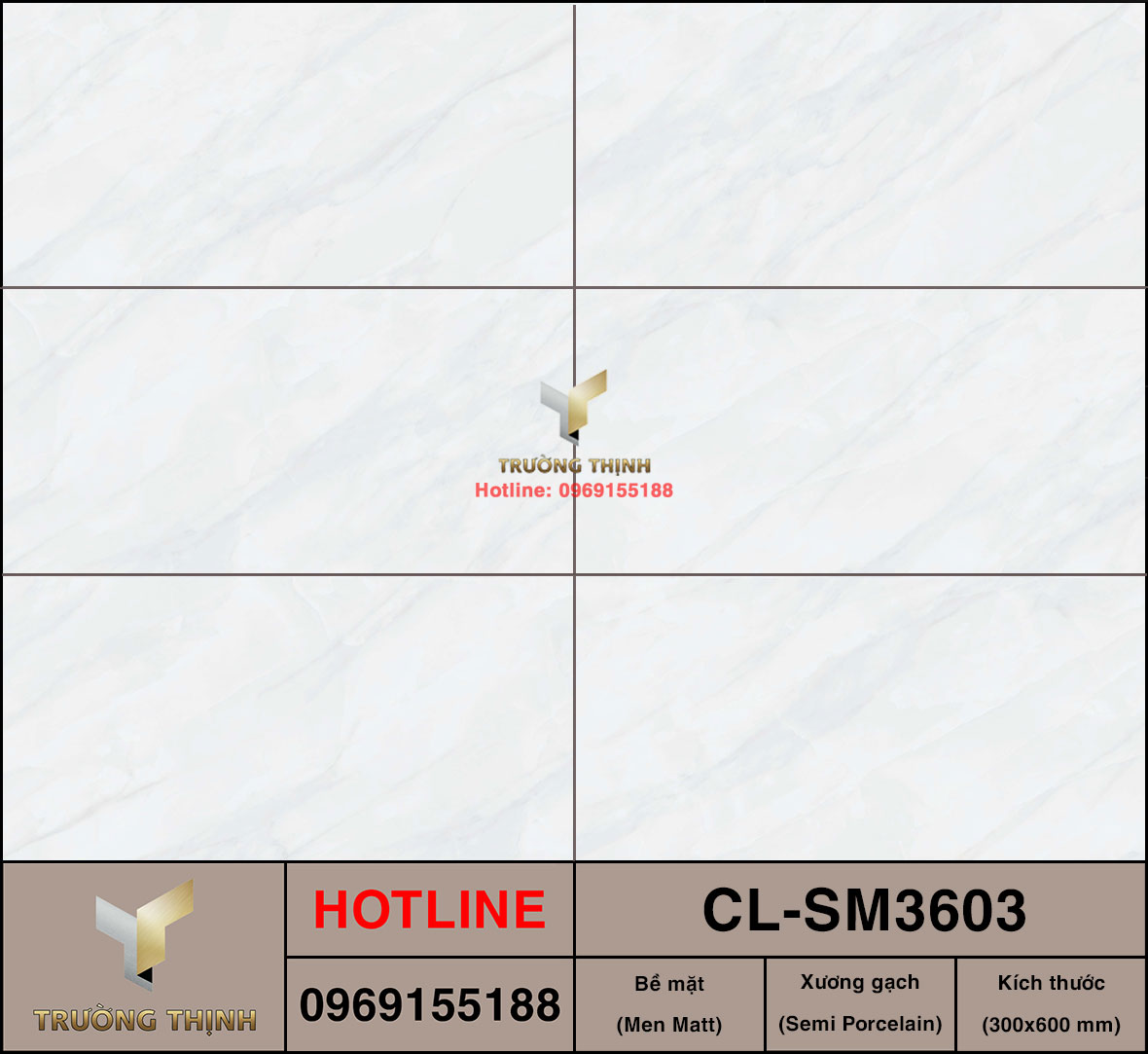 Gạch 300x600 Viglacera Cửu Long CL-SM3603