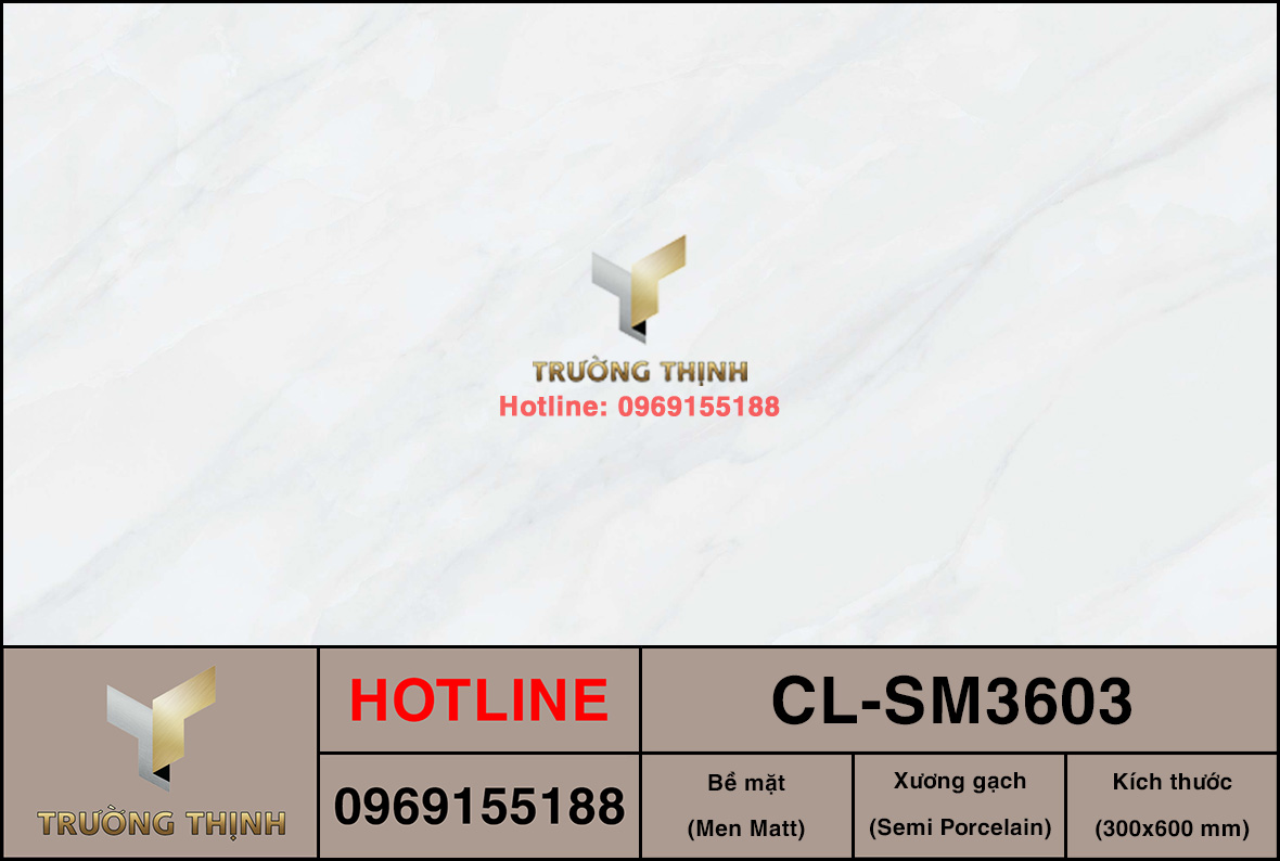 Gạch ốp lát 300x600 Viglacera Cửu Long CL-SM3603