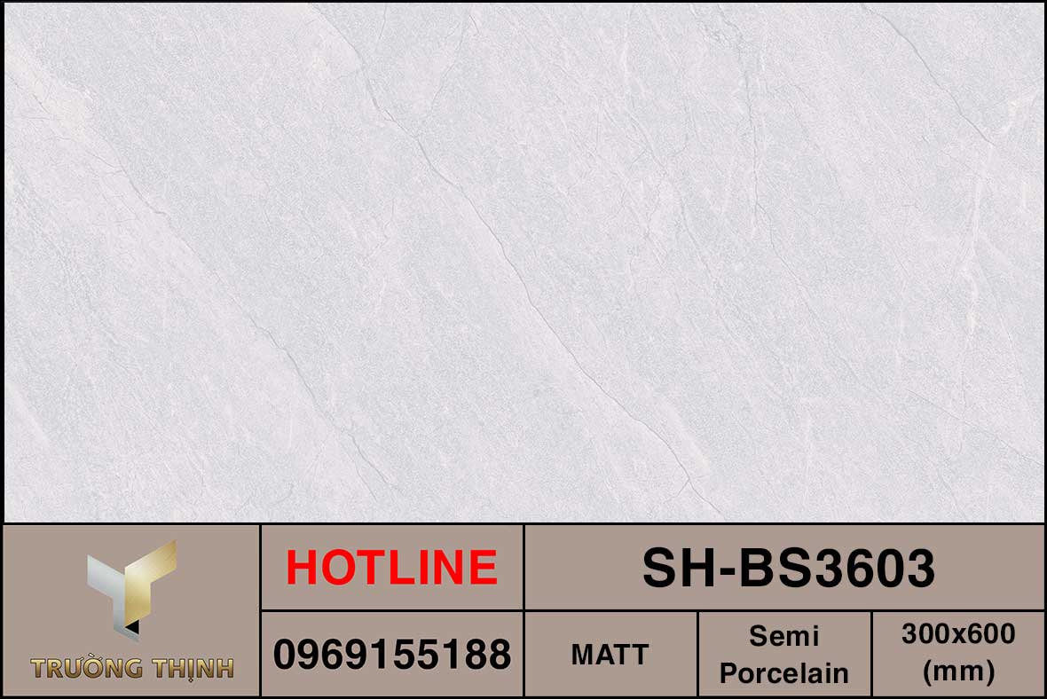 Ảnh MAP gạch lát ốp lát 300x600 Viglacera SH-BS3603